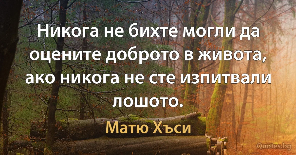 Никога не бихте могли да оцените доброто в живота, ако никога не сте изпитвали лошото. (Матю Хъси)