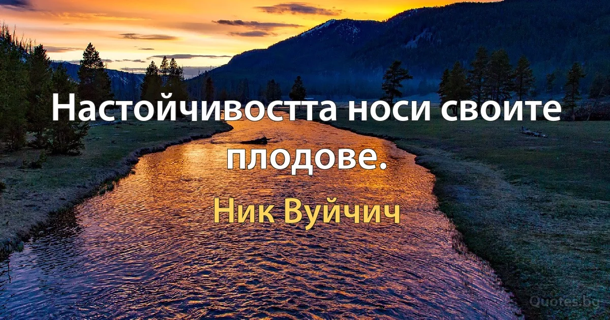 Настойчивостта носи своите плодове. (Ник Вуйчич)