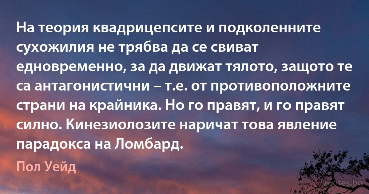 На теория квадрицепсите и подколенните сухожилия не трябва да се свиват едновременно, за да движат тялото, защото те са антагонистични – т.е. от противоположните страни на крайника. Но го правят, и го правят силно. Кинезиолозите наричат това явление парадокса на Ломбард. (Пол Уейд)