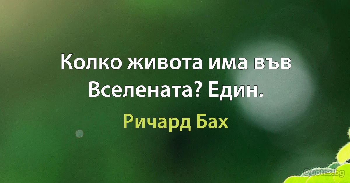 Колко живота има във Вселената? Един. (Ричард Бах)