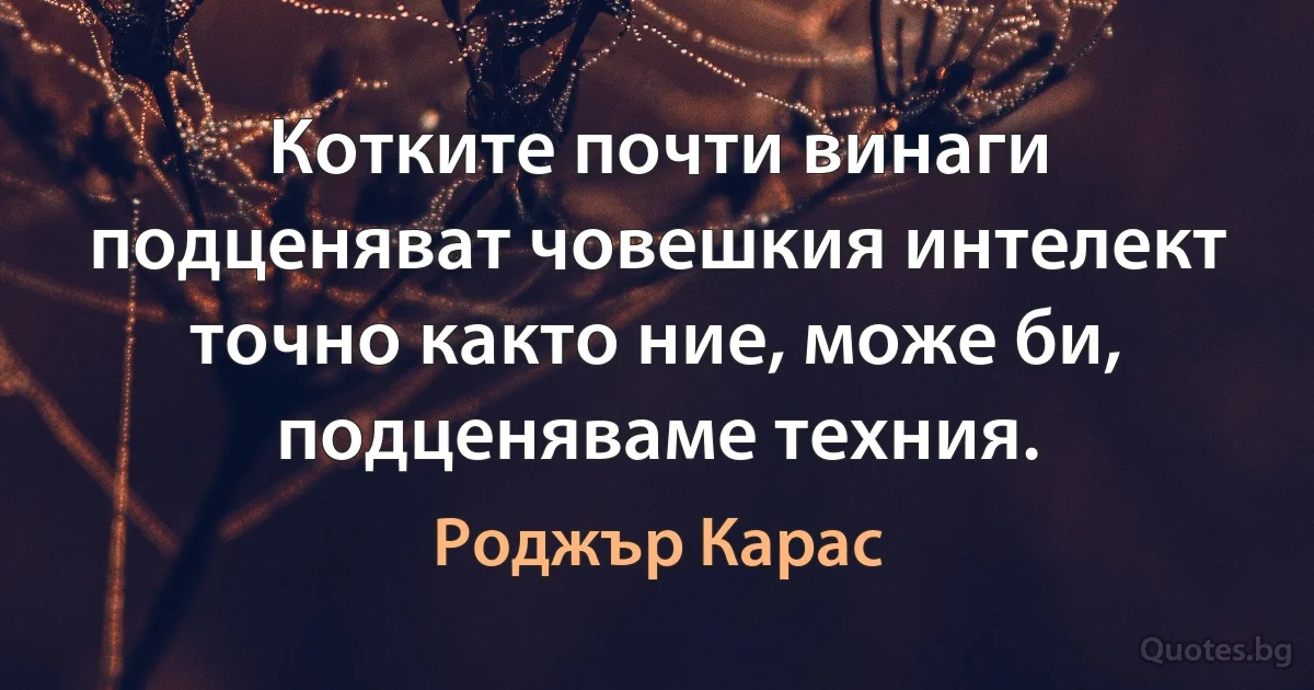 Котките почти винаги подценяват човешкия интелект точно както ние, може би, подценяваме техния. (Роджър Карас)