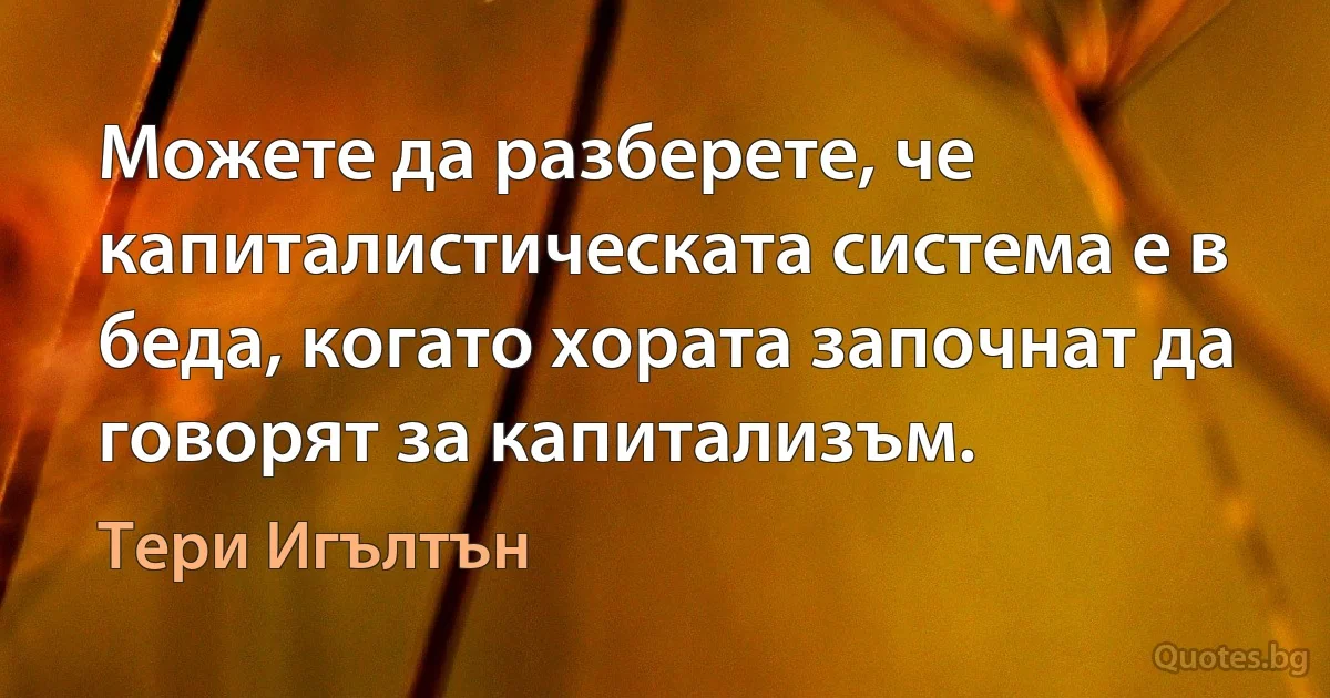 Можете да разберете, че капиталистическата система е в беда, когато хората започнат да говорят за капитализъм. (Тери Игълтън)