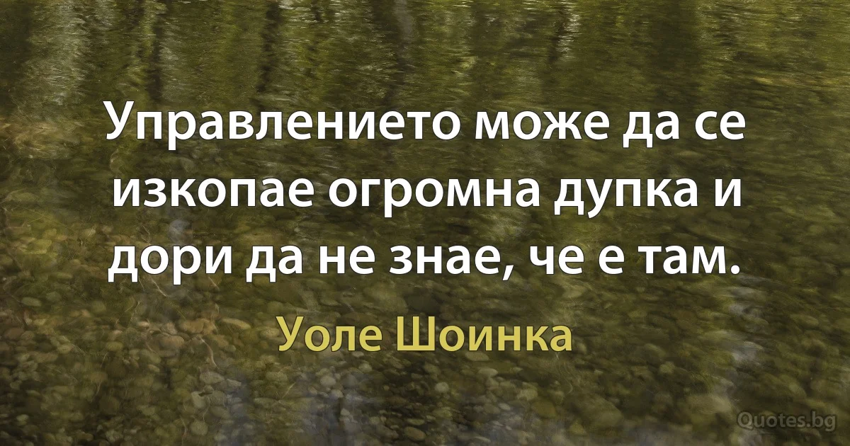 Управлението може да се изкопае огромна дупка и дори да не знае, че е там. (Уоле Шоинка)