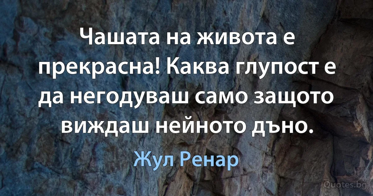 Чашата на живота е прекрасна! Каква глупост е да негодуваш само защото виждаш нейното дъно. (Жул Ренар)