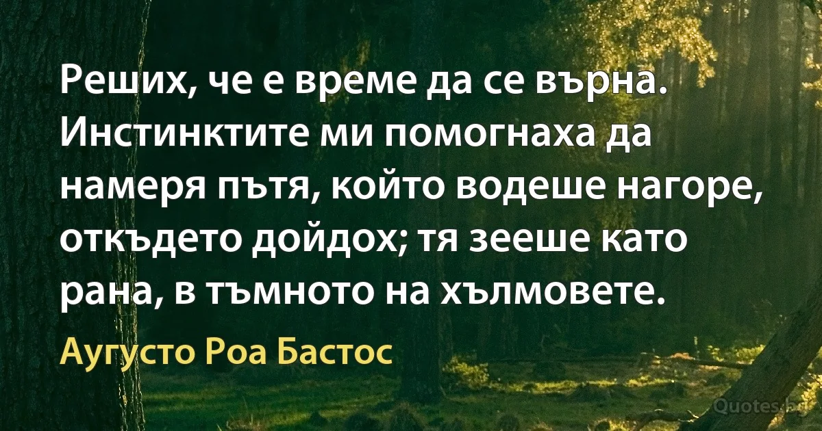 Реших, че е време да се върна. Инстинктите ми помогнаха да намеря пътя, който водеше нагоре, откъдето дойдох; тя зееше като рана, в тъмното на хълмовете. (Аугусто Роа Бастос)