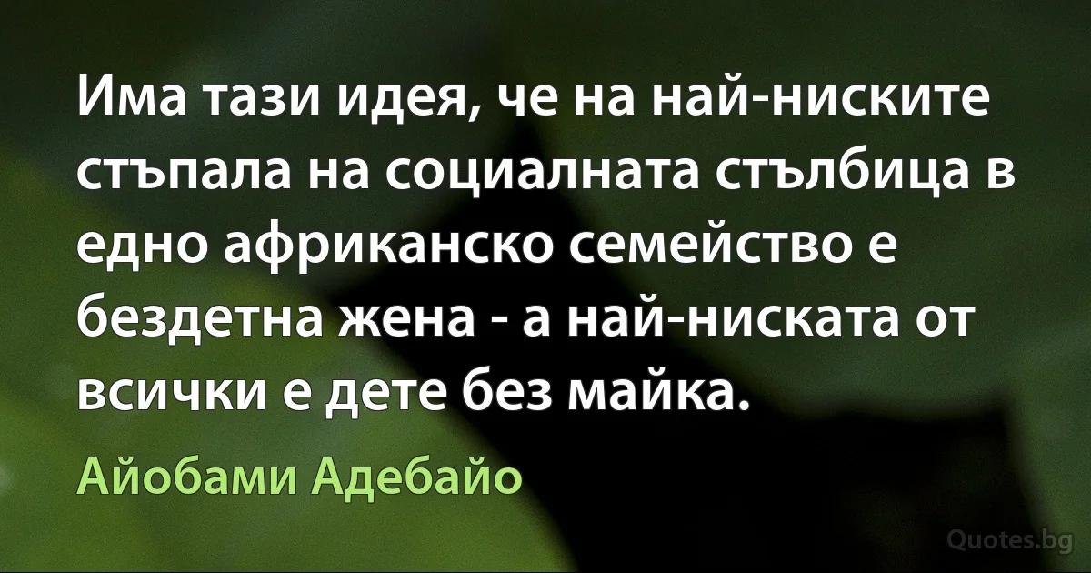 Има тази идея, че на най-ниските стъпала на социалната стълбица в едно африканско семейство е бездетна жена - а най-ниската от всички е дете без майка. (Айобами Адебайо)