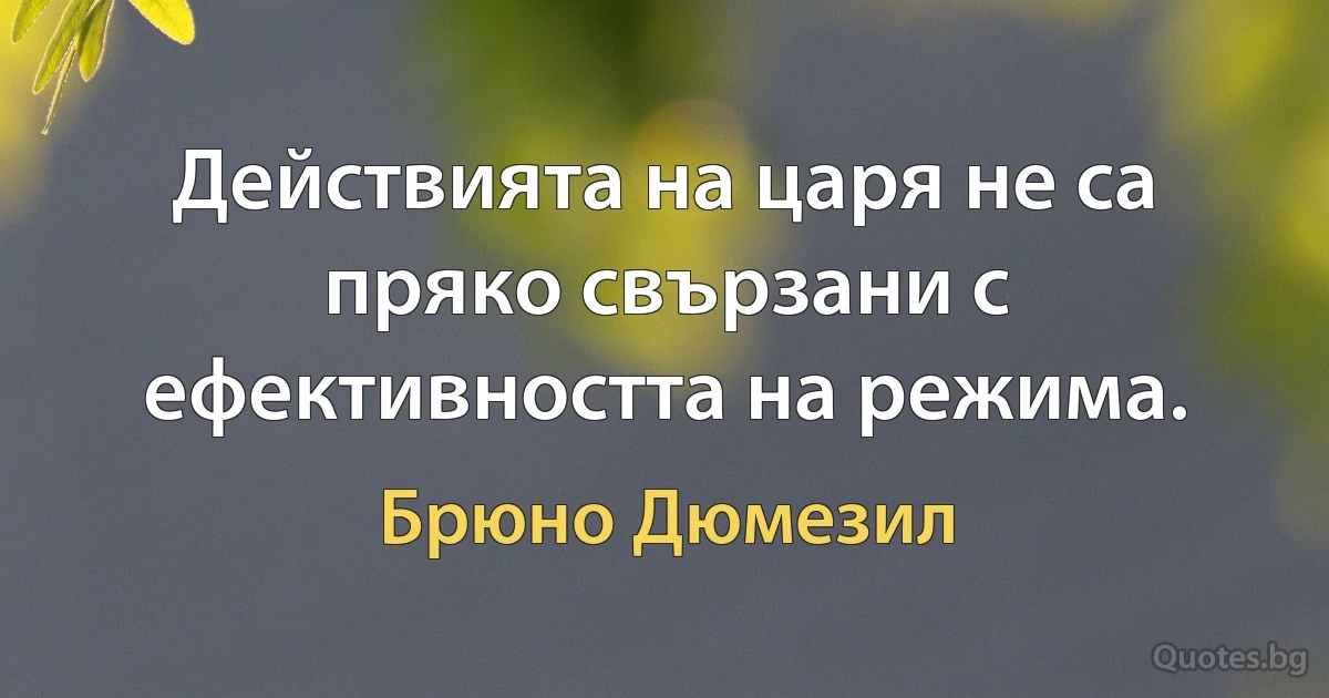 Действията на царя не са пряко свързани с ефективността на режима. (Брюно Дюмезил)