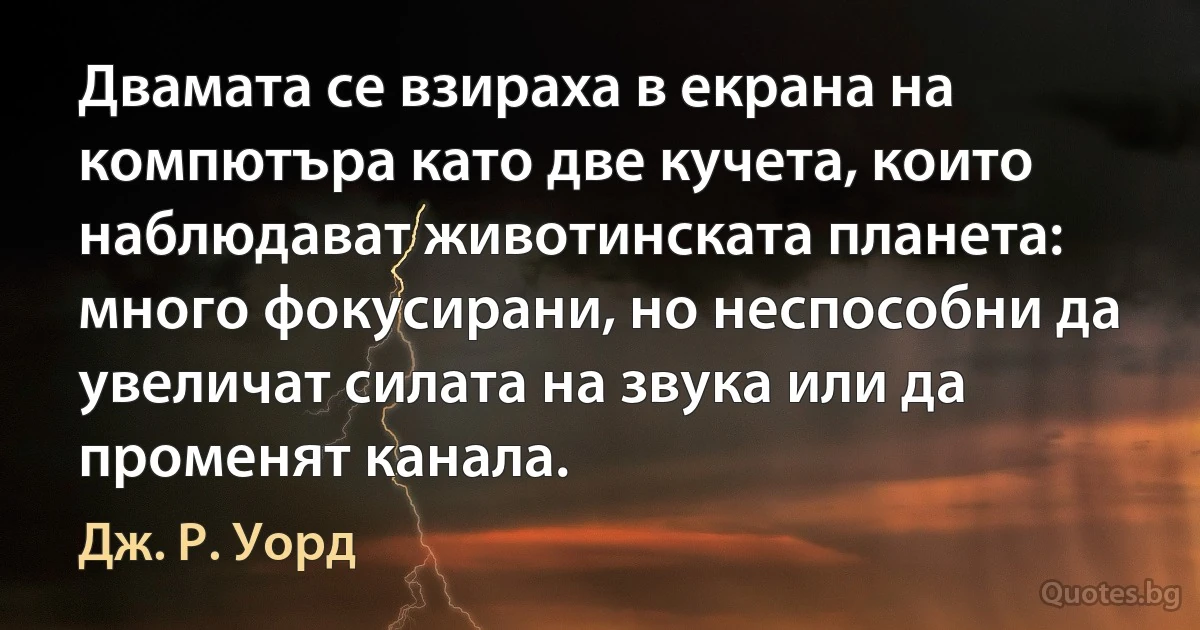 Двамата се взираха в екрана на компютъра като две кучета, които наблюдават животинската планета: много фокусирани, но неспособни да увеличат силата на звука или да променят канала. (Дж. Р. Уорд)