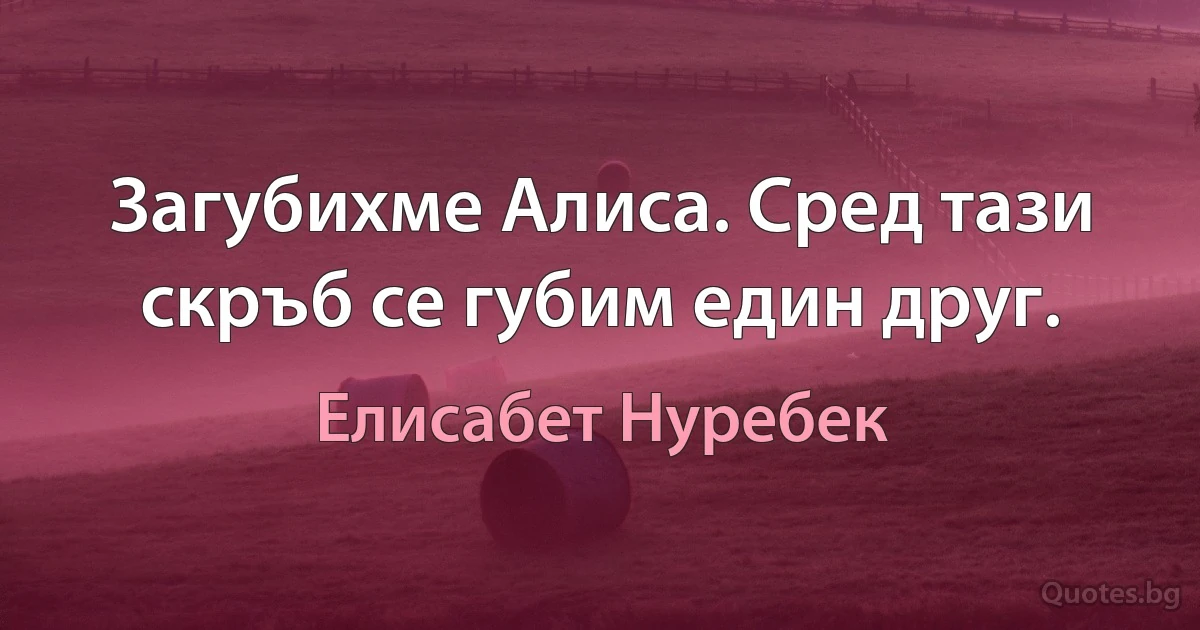 Загубихме Алиса. Сред тази скръб се губим един друг. (Елисабет Нуребек)