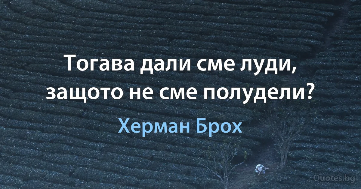 Тогава дали сме луди, защото не сме полудели? (Херман Брох)