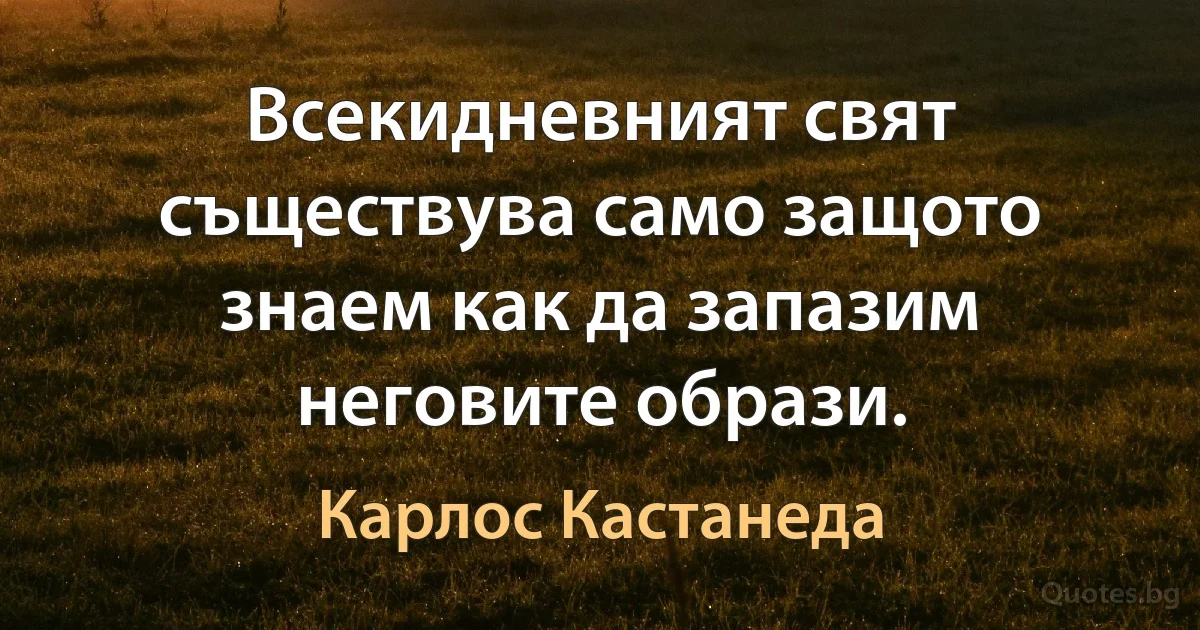 Всекидневният свят съществува само защото знаем как да запазим неговите образи. (Карлос Кастанеда)