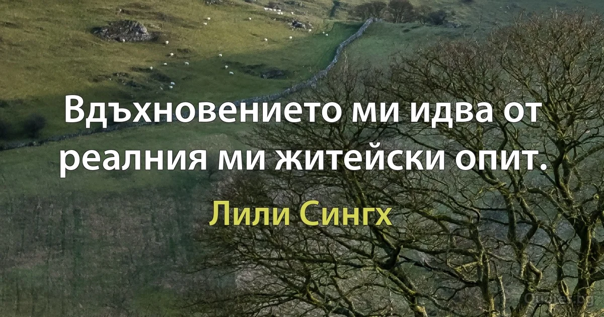 Вдъхновението ми идва от реалния ми житейски опит. (Лили Сингх)