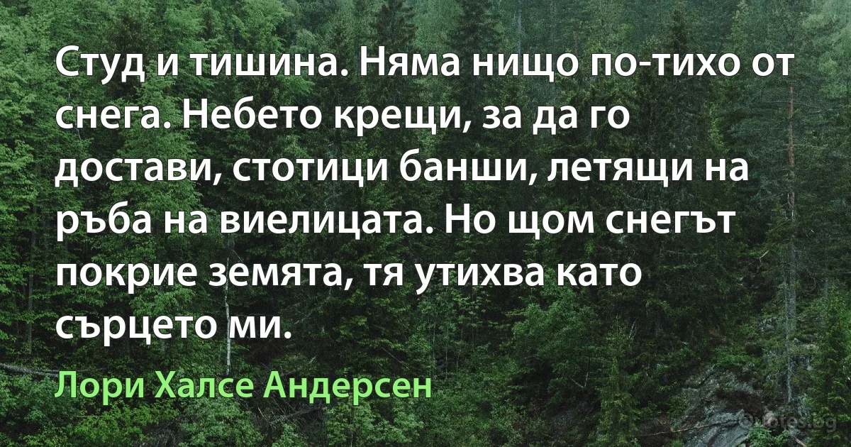 Студ и тишина. Няма нищо по-тихо от снега. Небето крещи, за да го достави, стотици банши, летящи на ръба на виелицата. Но щом снегът покрие земята, тя утихва като сърцето ми. (Лори Халсе Андерсен)