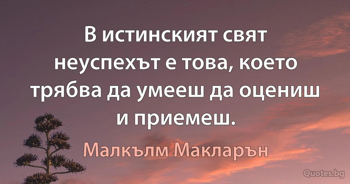 В истинският свят неуспехът е това, което трябва да умееш да оцениш и приемеш. (Малкълм Макларън)