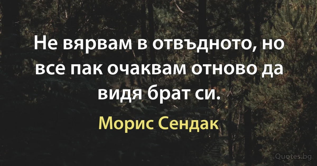 Не вярвам в отвъдното, но все пак очаквам отново да видя брат си. (Морис Сендак)