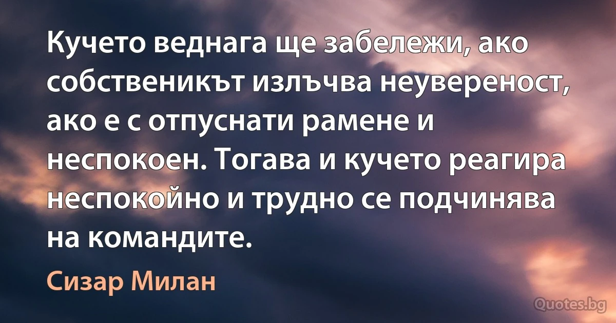 Кучето веднага ще забележи, ако собственикът излъчва неувереност, ако е с отпуснати рамене и неспокоен. Тогава и кучето реагира неспокойно и трудно се подчинява на командите. (Сизар Милан)