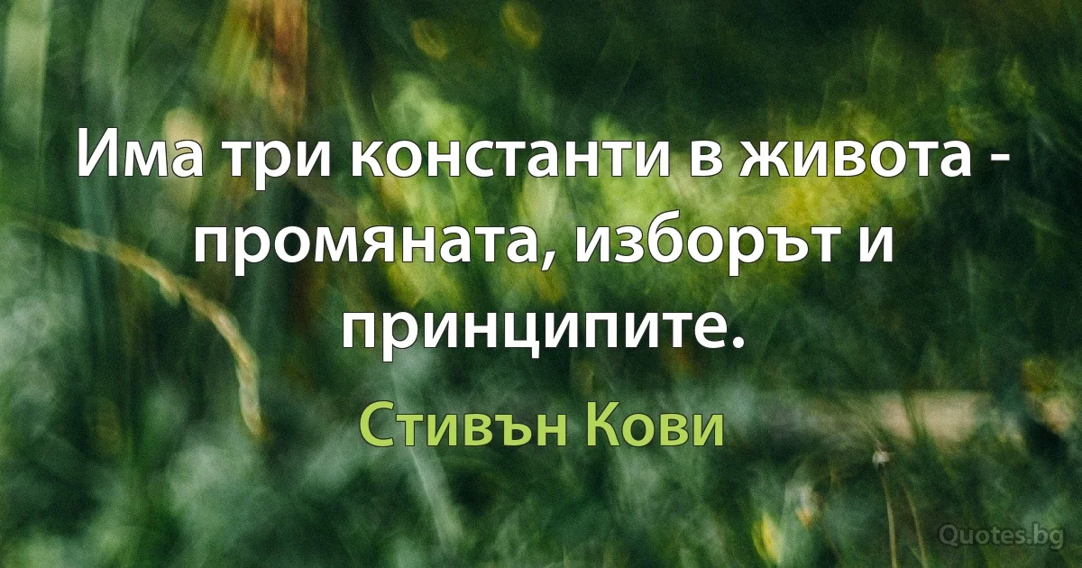 Има три константи в живота - промяната, изборът и принципите. (Стивън Кови)