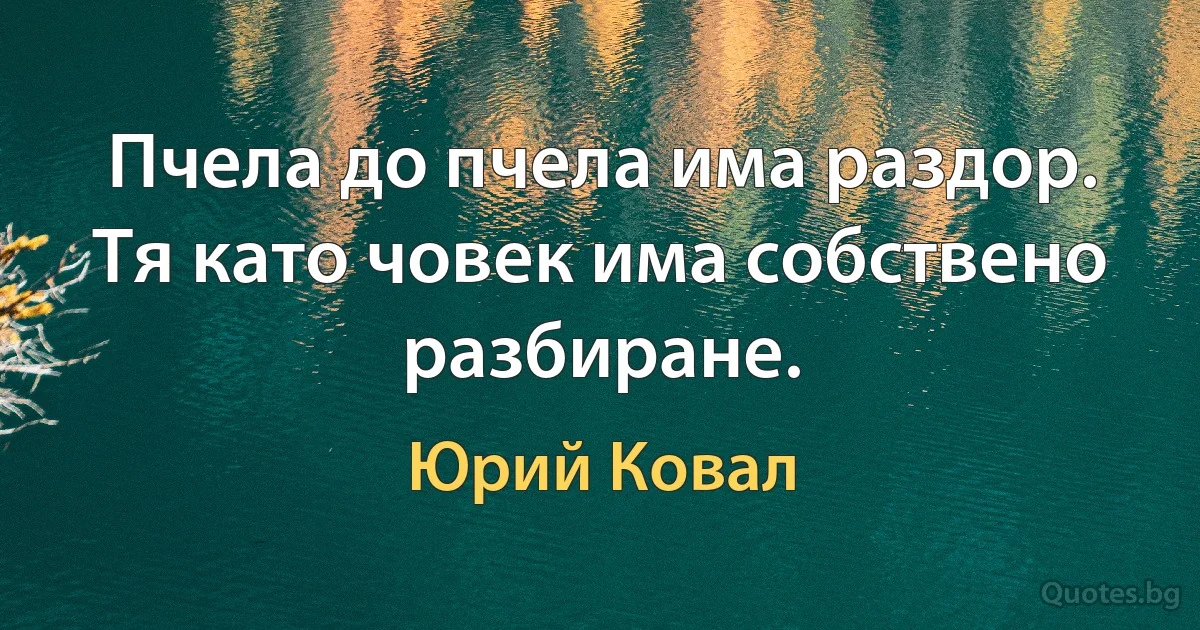 Пчела до пчела има раздор. Тя като човек има собствено разбиране. (Юрий Ковал)