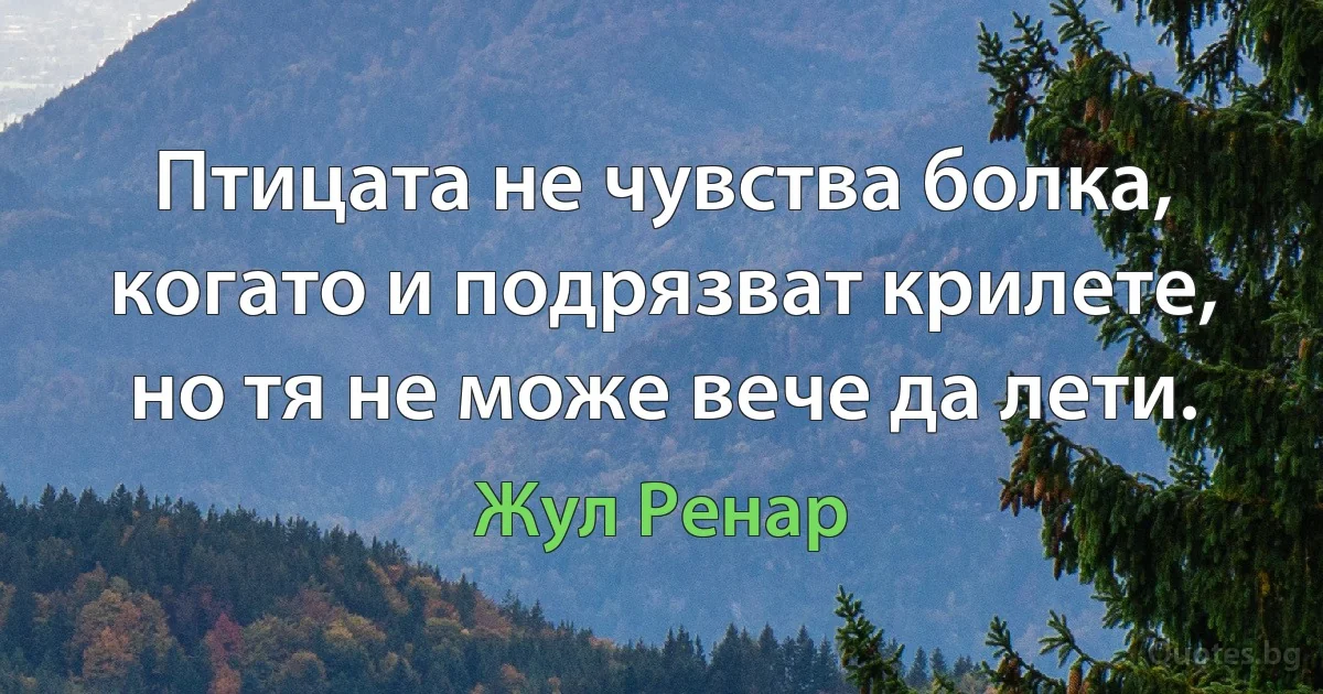 Птицата не чувства болка, когато и подрязват крилете, но тя не може вече да лети. (Жул Ренар)