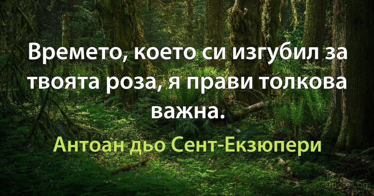 Времето, което си изгубил за твоята роза, я прави толкова важна. (Антоан дьо Сент-Екзюпери)