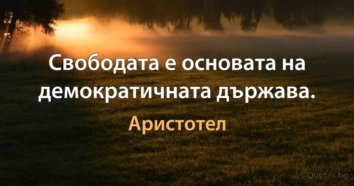 Свободата е основата на демократичната държава. (Аристотел)