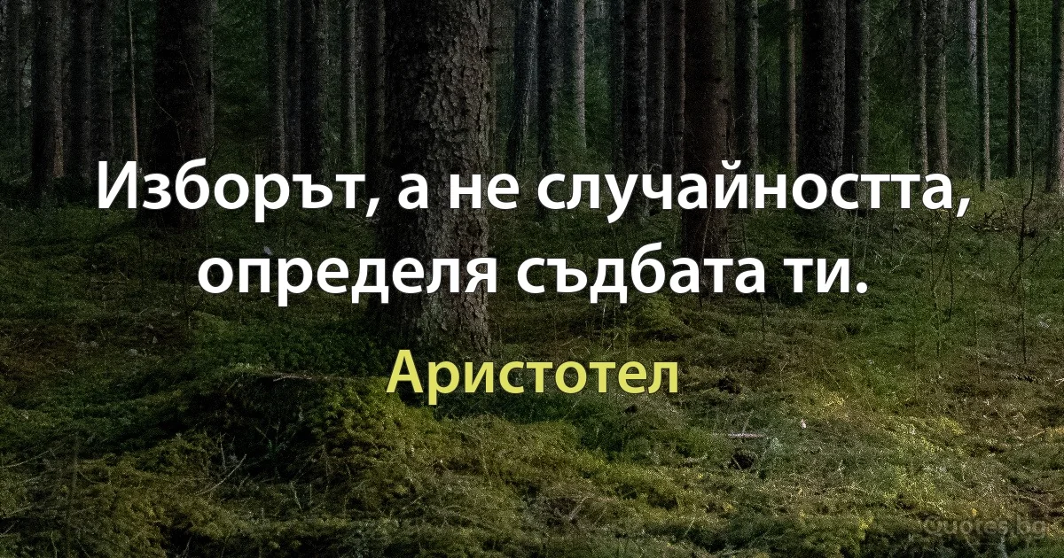 Изборът, а не случайността, определя съдбата ти. (Аристотел)