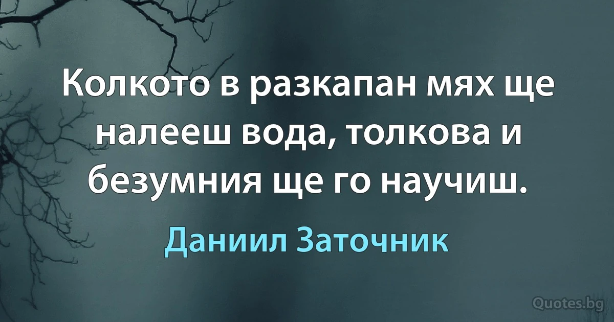 Колкото в разкапан мях ще налееш вода, толкова и безумния ще го научиш. (Даниил Заточник)