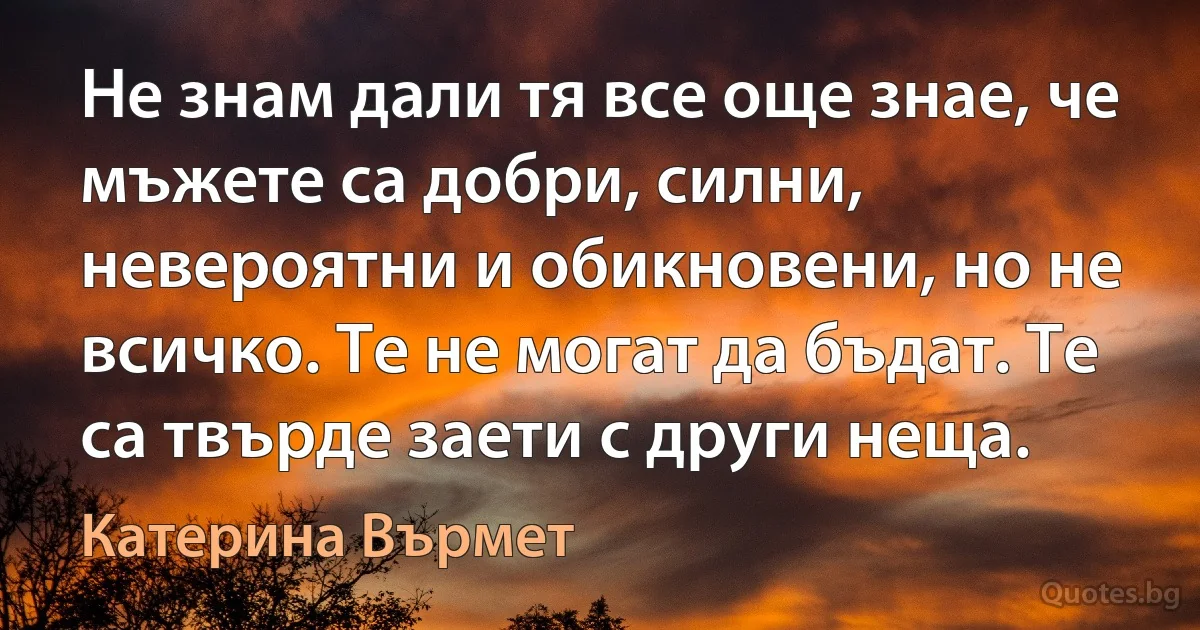 Не знам дали тя все още знае, че мъжете са добри, силни, невероятни и обикновени, но не всичко. Те не могат да бъдат. Те са твърде заети с други неща. (Катерина Върмет)