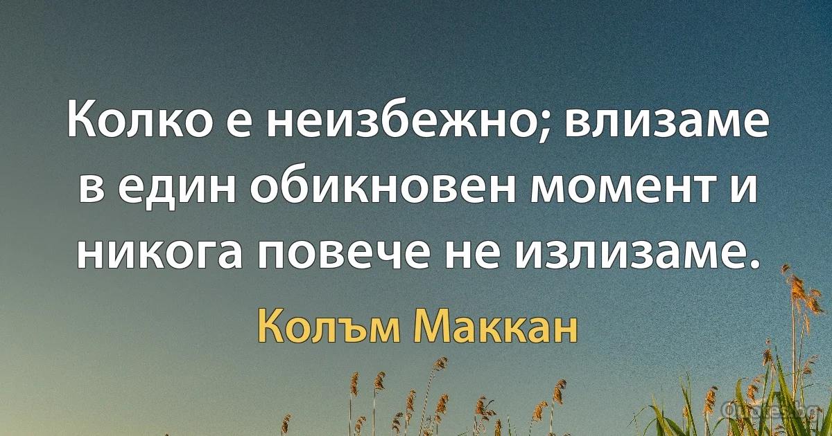 Колко е неизбежно; влизаме в един обикновен момент и никога повече не излизаме. (Колъм Маккан)