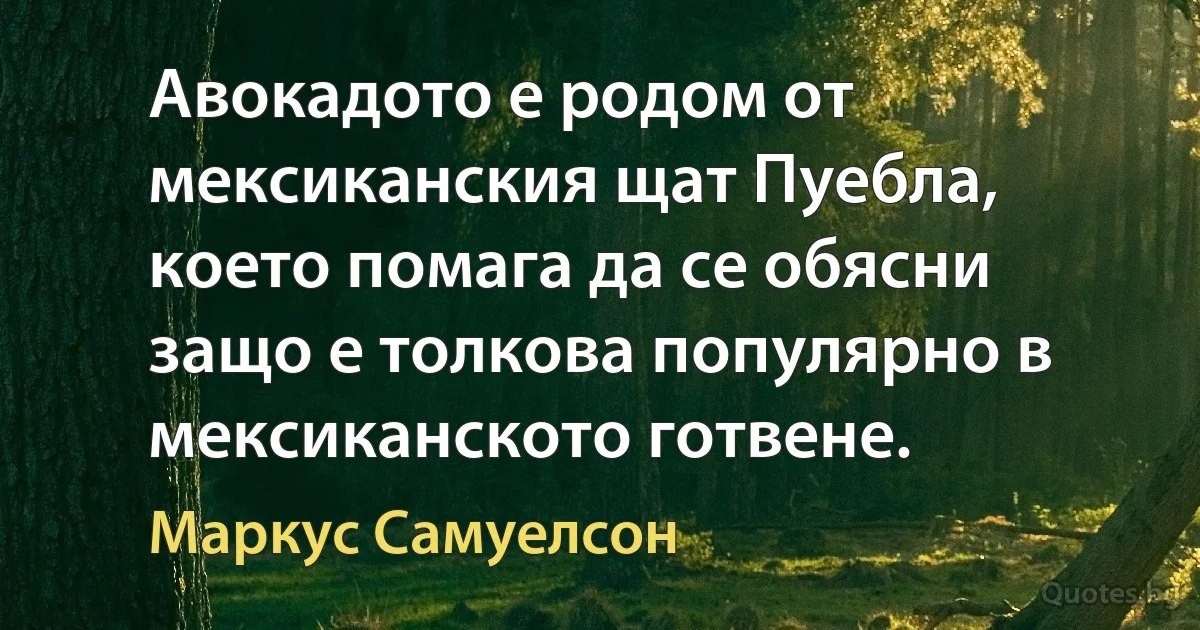 Авокадото е родом от мексиканския щат Пуебла, което помага да се обясни защо е толкова популярно в мексиканското готвене. (Маркус Самуелсон)