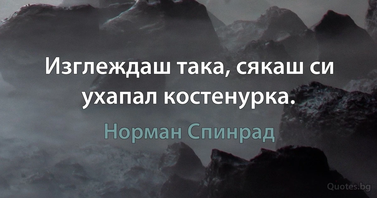 Изглеждаш така, сякаш си ухапал костенурка. (Норман Спинрад)