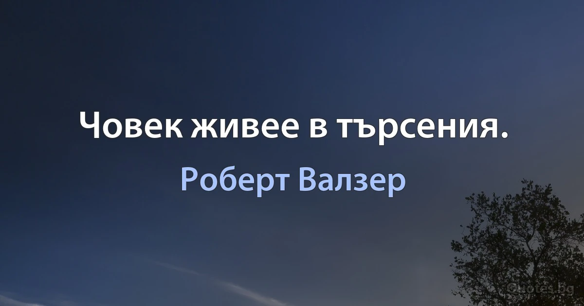 Човек живее в търсения. (Роберт Валзер)