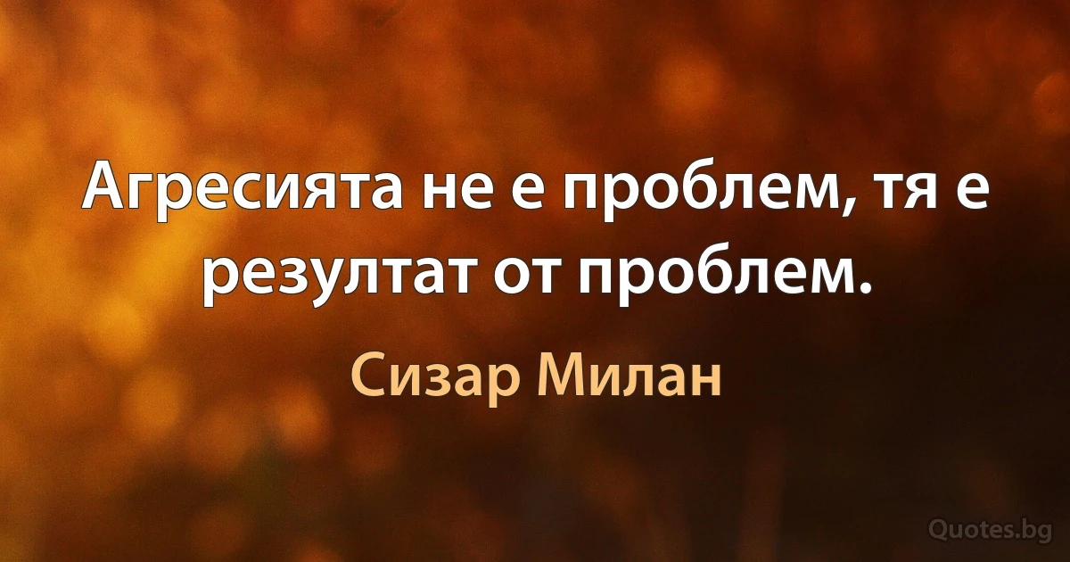 Агресията не е проблем, тя е резултат от проблем. (Сизар Милан)