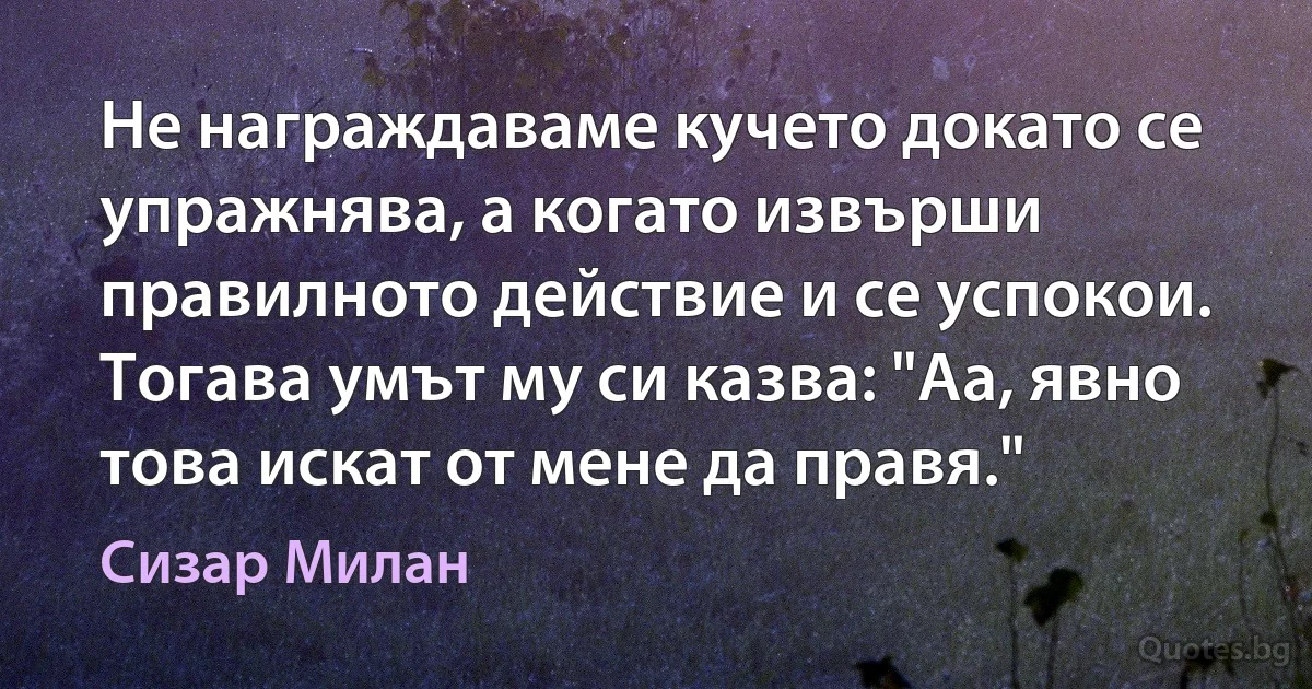 Не награждаваме кучето докато се упражнява, а когато извърши правилното действие и се успокои. Тогава умът му си казва: "Аа, явно това искат от мене да правя." (Сизар Милан)