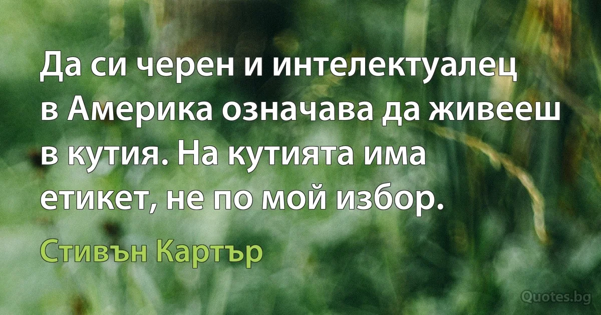 Да си черен и интелектуалец в Америка означава да живееш в кутия. На кутията има етикет, не по мой избор. (Стивън Картър)