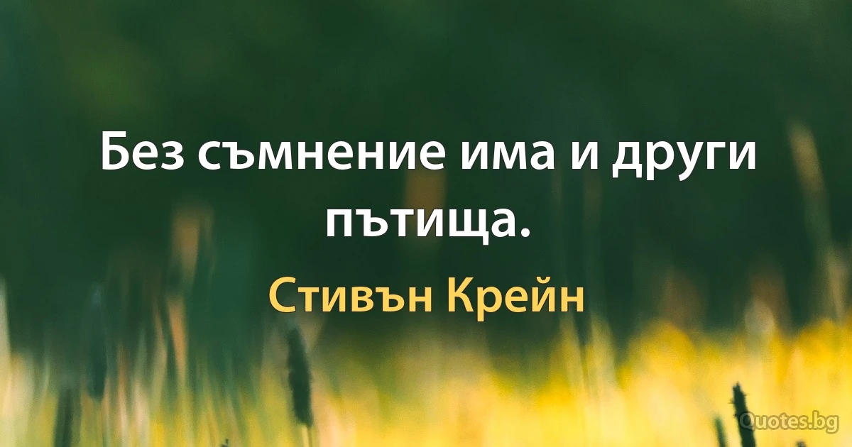 Без съмнение има и други пътища. (Стивън Крейн)