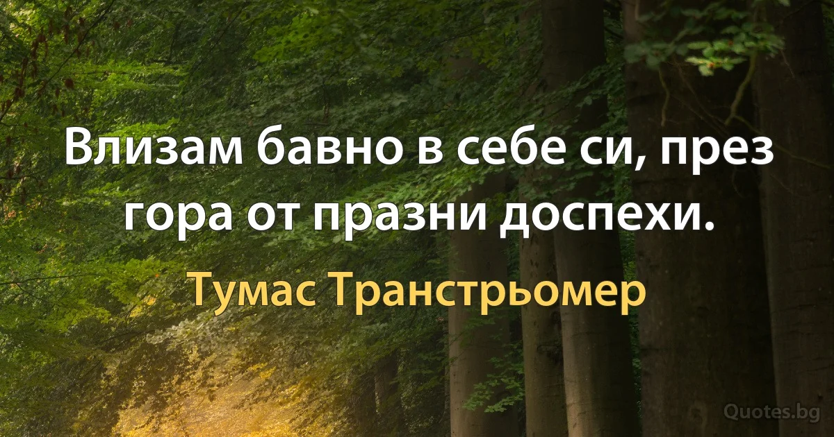 Влизам бавно в себе си, през гора от празни доспехи. (Тумас Транстрьомер)