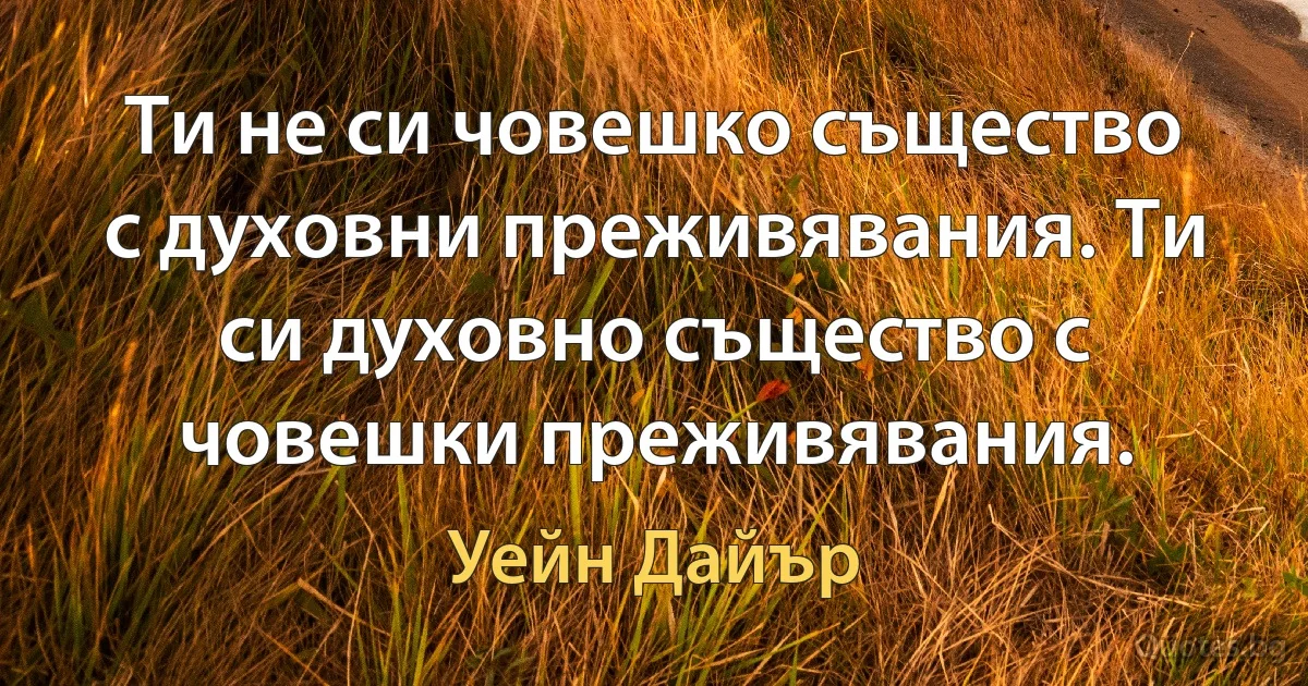 Ти не си човешко същество с духовни преживявания. Ти си духовно същество с човешки преживявания. (Уейн Дайър)