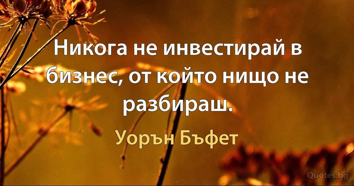 Никога не инвестирай в бизнес, от който нищо не разбираш. (Уорън Бъфет)