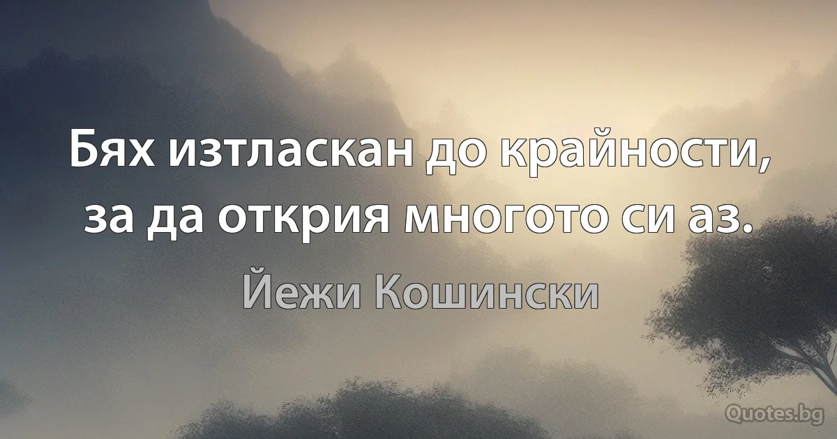 Бях изтласкан до крайности, за да открия многото си аз. (Йежи Кошински)