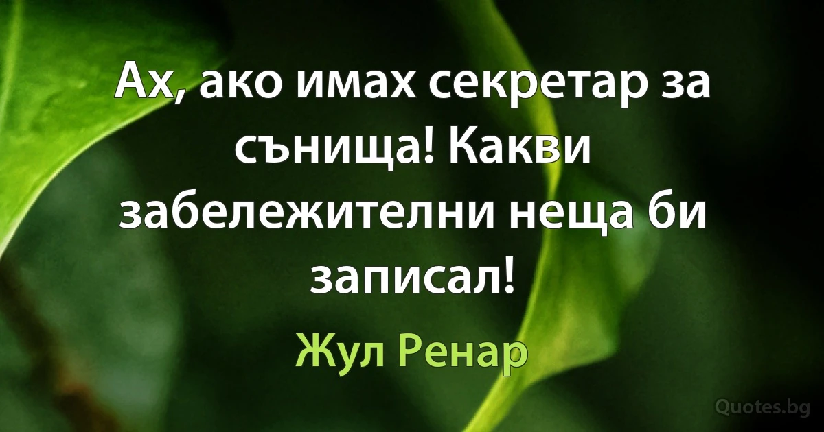 Ах, ако имах секретар за сънища! Какви забележителни неща би записал! (Жул Ренар)