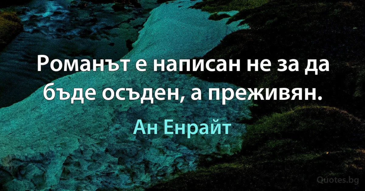 Романът е написан не за да бъде осъден, а преживян. (Ан Енрайт)