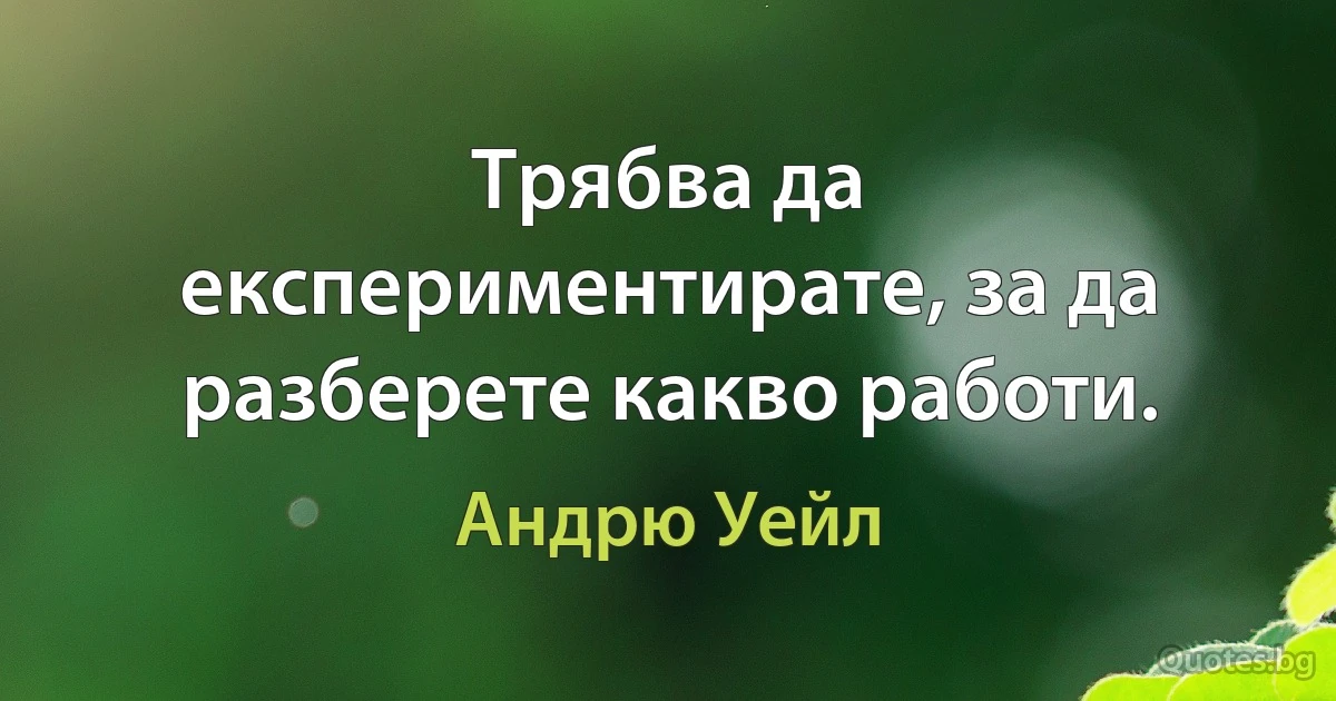 Трябва да експериментирате, за да разберете какво работи. (Андрю Уейл)