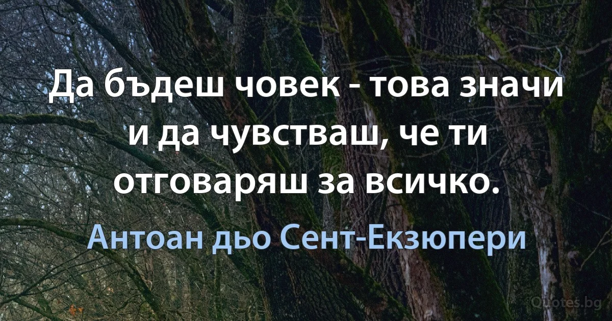 Да бъдеш човек - това значи и да чувстваш, че ти отговаряш за всичко. (Антоан дьо Сент-Екзюпери)