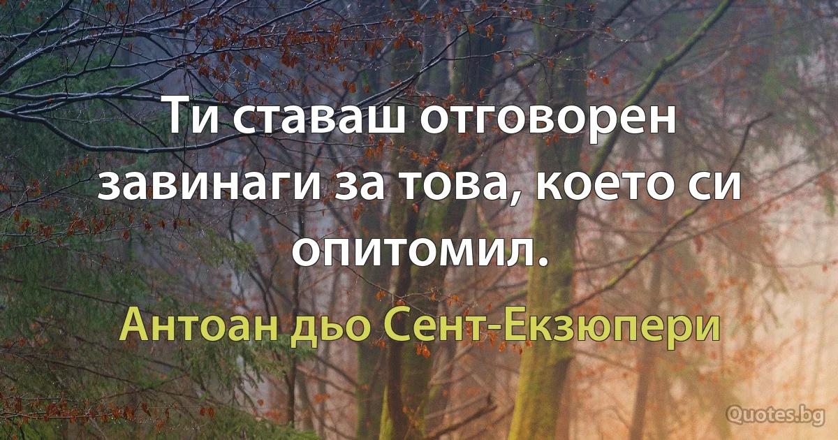 Ти ставаш отговорен завинаги за това, което си опитомил. (Антоан дьо Сент-Екзюпери)