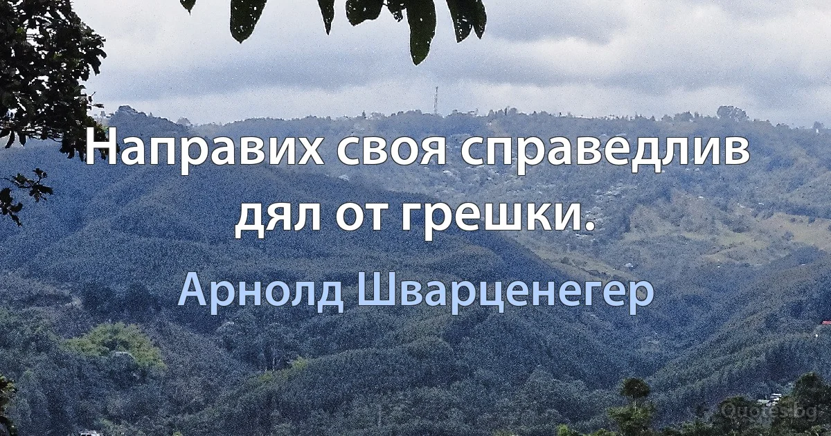 Направих своя справедлив дял от грешки. (Арнолд Шварценегер)