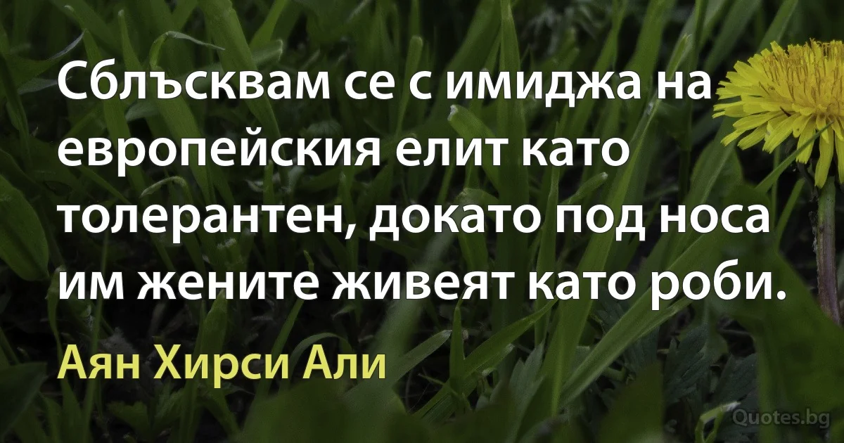 Сблъсквам се с имиджа на европейския елит като толерантен, докато под носа им жените живеят като роби. (Аян Хирси Али)