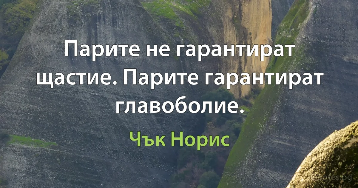 Парите не гарантират щастие. Парите гарантират главоболие. (Чък Норис)