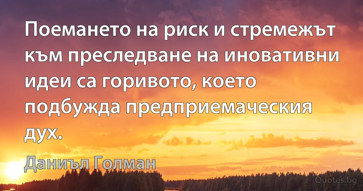 Поемането на риск и стремежът към преследване на иновативни идеи са горивото, което подбужда предприемаческия дух. (Даниъл Голман)