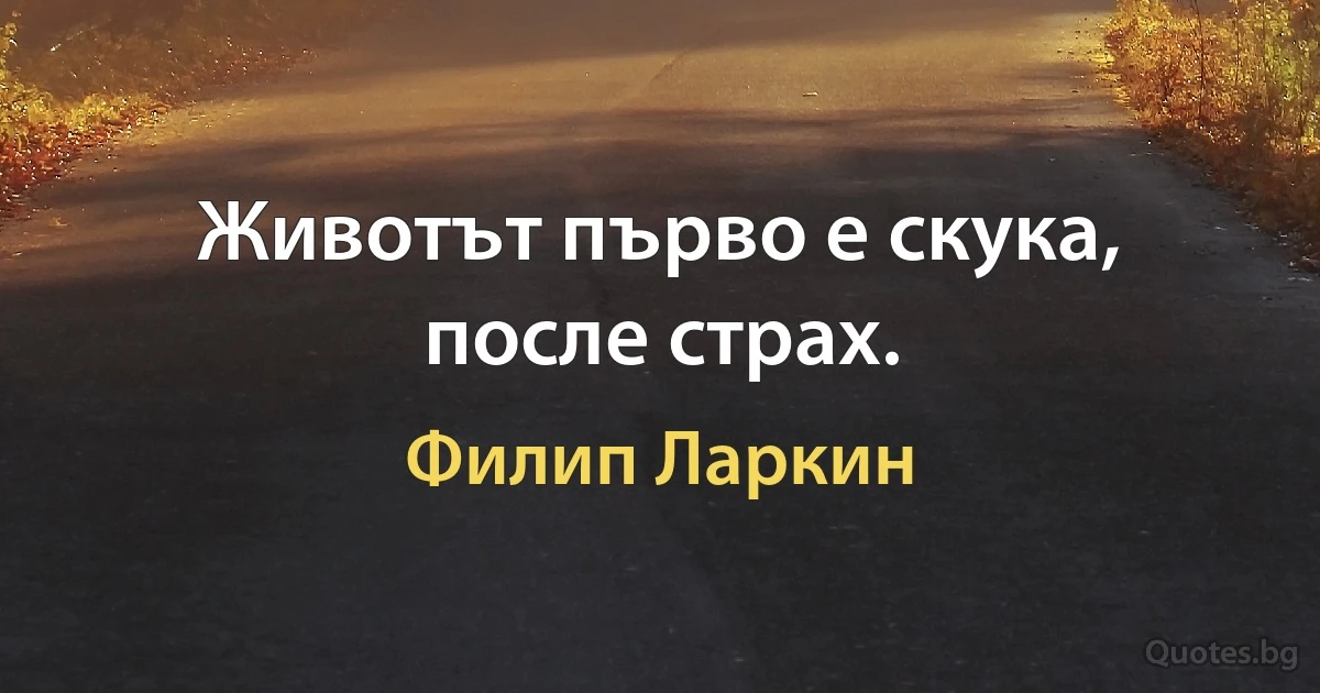 Животът първо е скука, после страх. (Филип Ларкин)